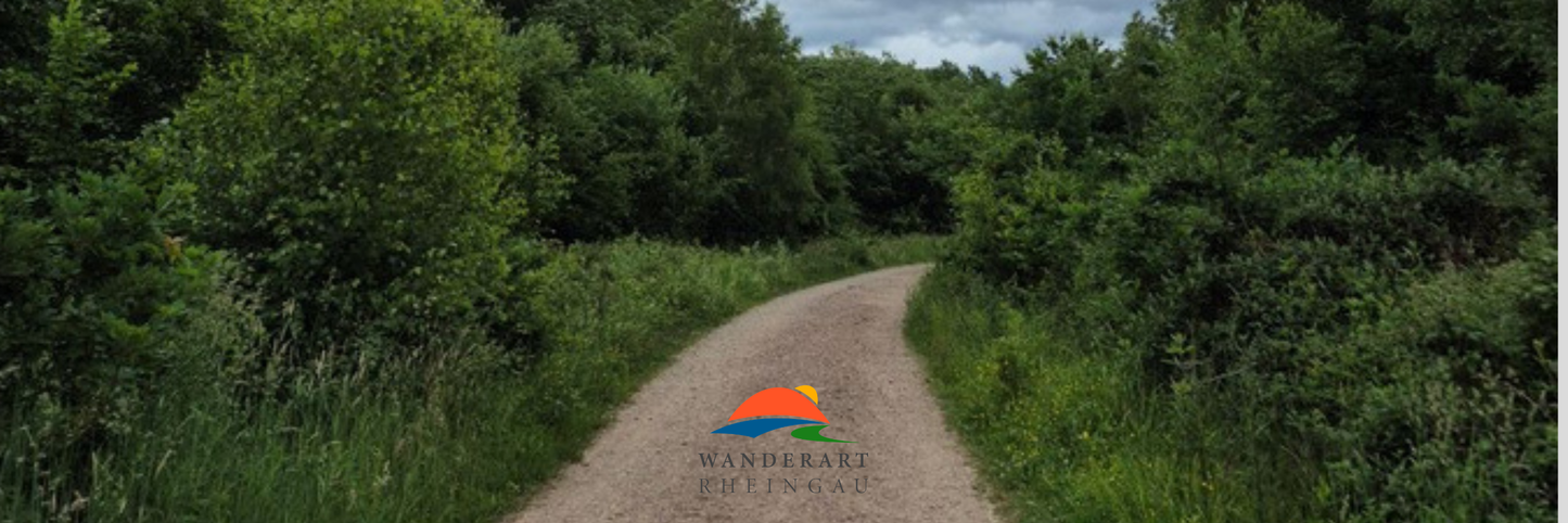 Erlebnispfad Bingener Wald - Wandern in Rheinhessen und Rheingau