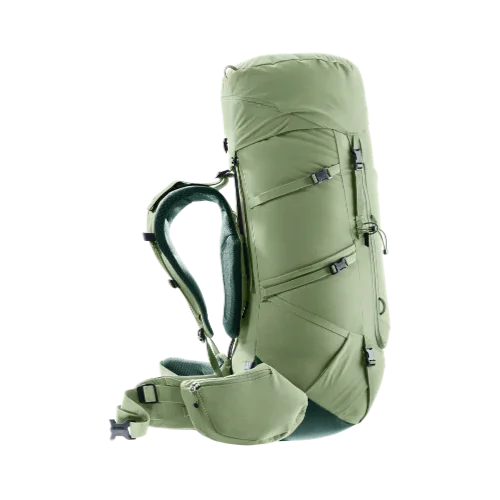 Deuter Aircontact Core 55+10 SL Trekkingrucksack grove-ivy Bild 2