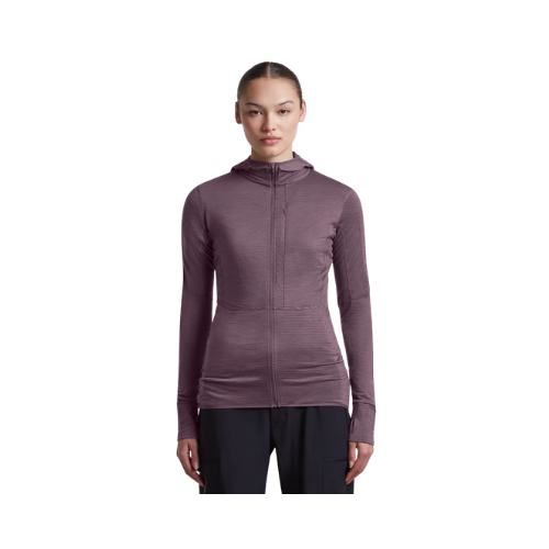 Icebreaker 200 RealFleece™ Descender Hoodie mit Reißverschluss Damen GRY PLM Bild 1