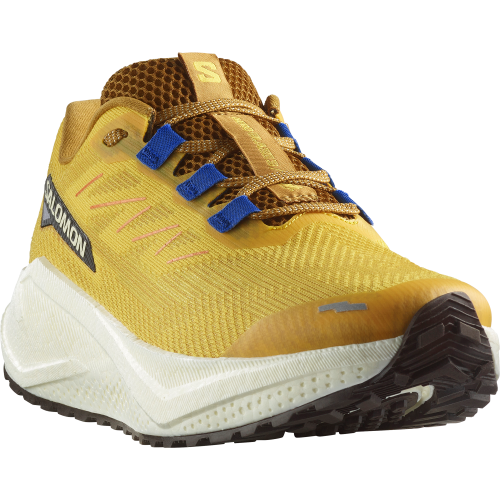 Salomon Aero Blaze GRVL Herren gelb blau Bild 1